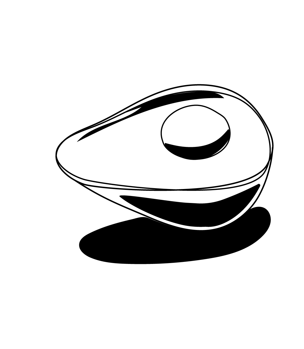 Hand-drawn illustration of an avocado