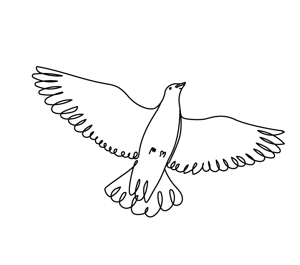 Hand-drawn illustration of a dove in flight