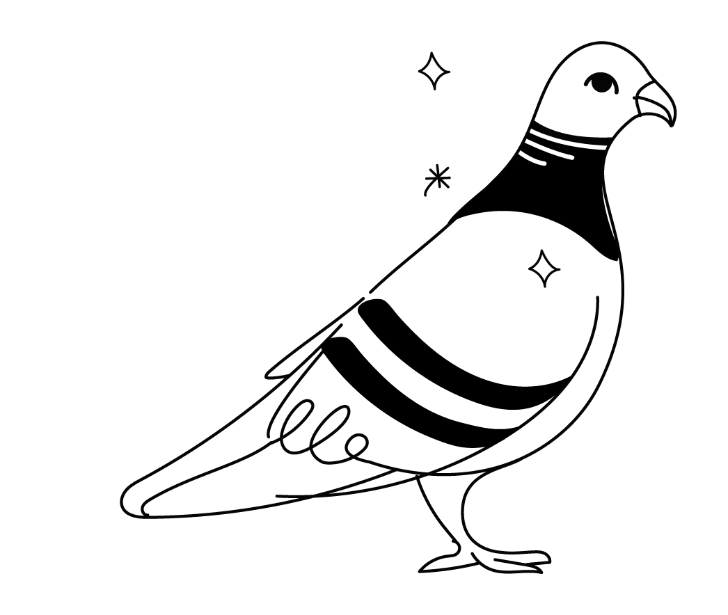 Hand-drawn illustration of a pigeon