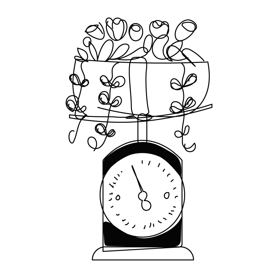 Hand-drawn illustration of a kitchen scale with flowers