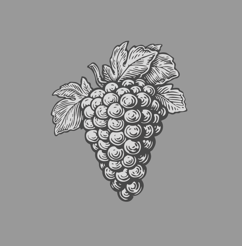 Wine grapes from the Sussex region